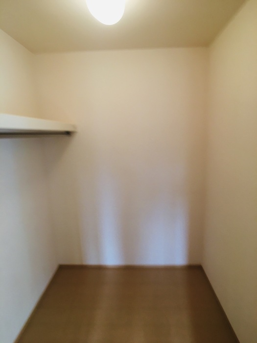 収納　ウォークインクローゼット