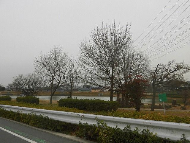 公園　大蔵池公園（公園）まで603m