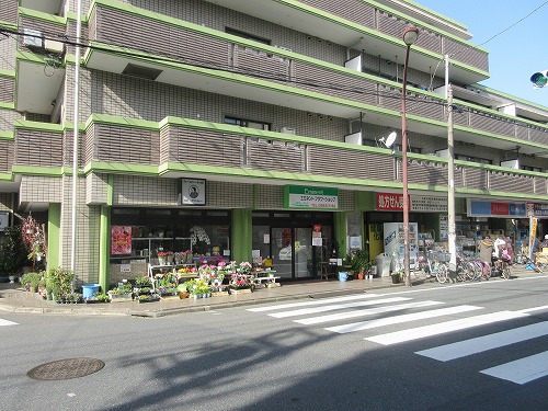 ドラックストア　ウエルシア 練馬早宮店（ドラッグストア）まで683m