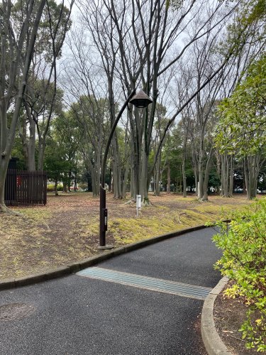 公園　猿江恩賜公園（公園）まで1252m