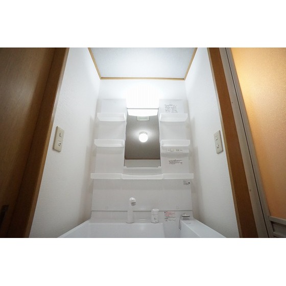 その他　シャンプードレッサー