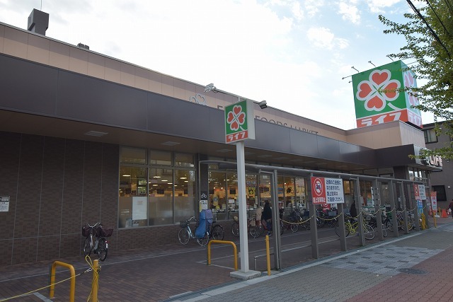 スーパー　ライフ　旭大宮店（スーパー）まで591m