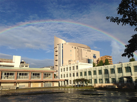 中学校　私立星槎名古屋中学校（中学校）まで246m
