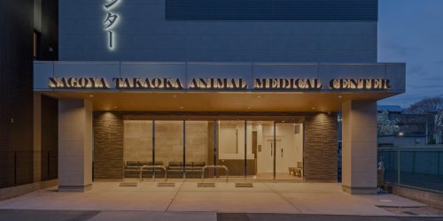 病院　高岳動物クリニック（病院）まで168m