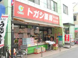 ドラックストア　トガシ調剤薬局（ドラッグストア）まで226m