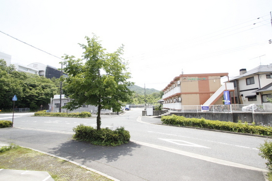 眺望　※別部屋の写真です