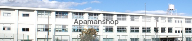 小学校　伊勢原市立伊勢原小学校（小学校）まで527m