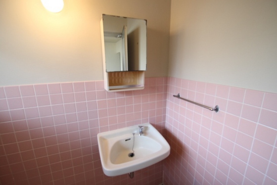 洗面設備　※別部屋の写真です