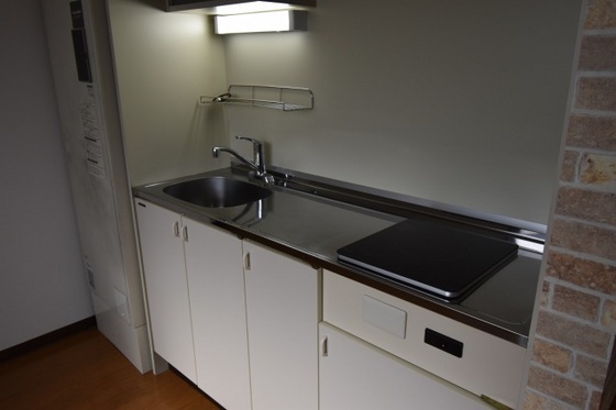 キッチン　※別号室の写真です