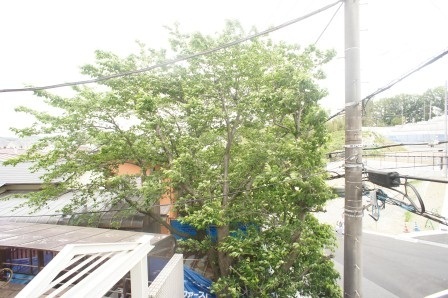 眺望　植物が目隠し効果で人目が気になりません