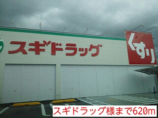 その他　スギドラッグ様まで620m