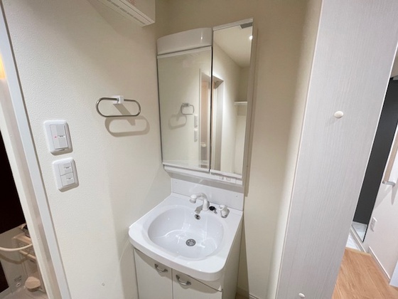 洗面設備　※別部屋の写真です