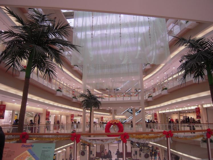 ショッピングセンター　ダイナシティイースト（ショッピングセンター）まで1355m