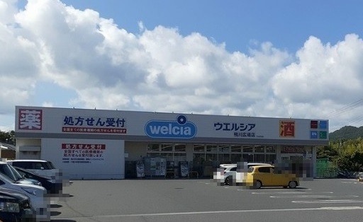 ドラックストア　ウエルシア鴨川広場店（ドラッグストア）まで700m