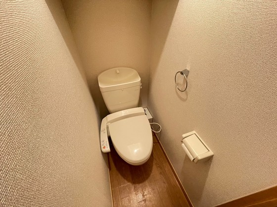 トイレ　※別号室の写真です