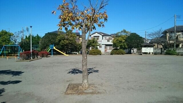 公園　塩田町公園（公園）まで170m