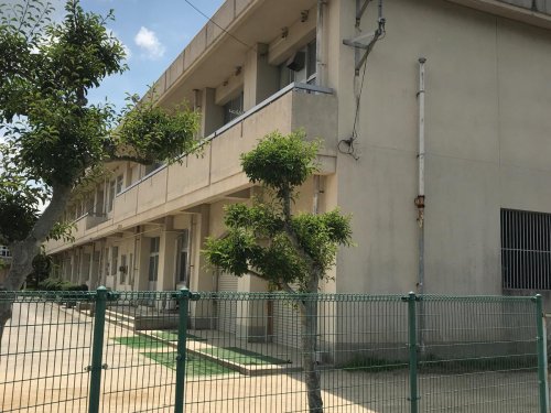 小学校　平島小学校（小学校）まで707m