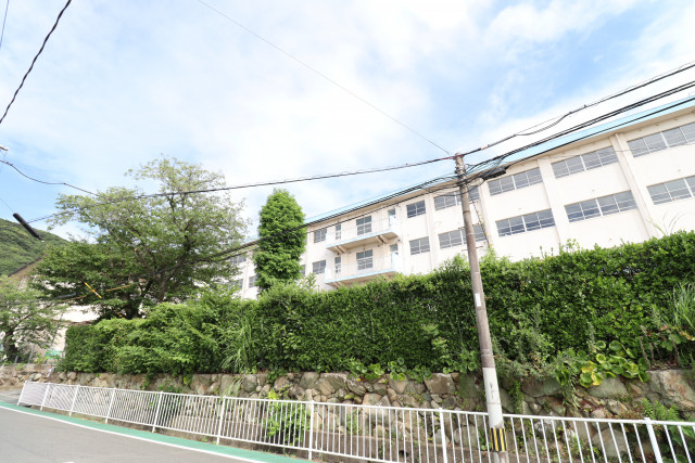 中学校　北九州市立富野中学校（中学校）まで1100m