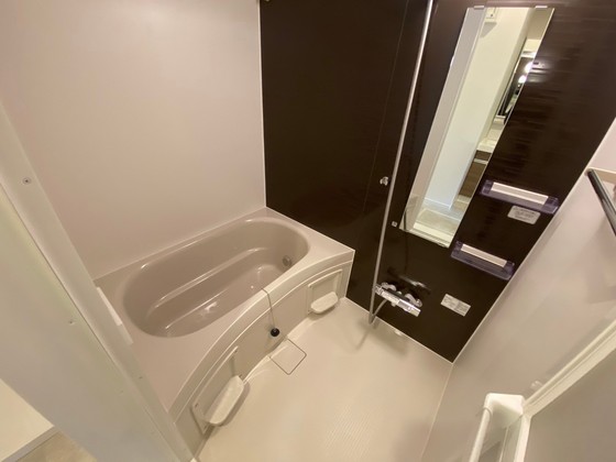 バス・シャワールーム　※別部屋の写真です