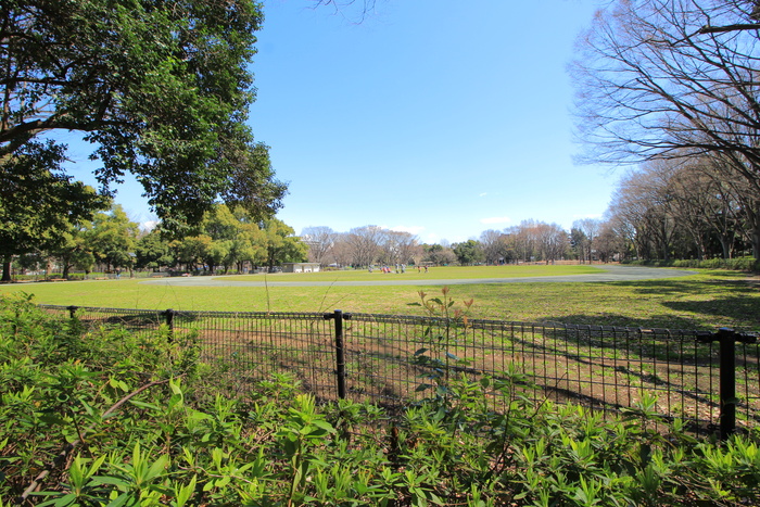 公園　赤塚公園（公園）まで940m