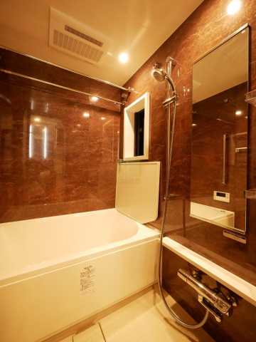 バス・シャワールーム　グランカーサ本駒込の風呂