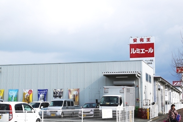 スーパー　ルミエール上津バイパス店（スーパー）まで593m