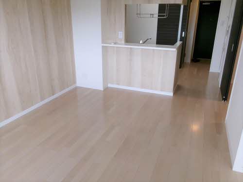 居室・リビング　LDK11.5帖