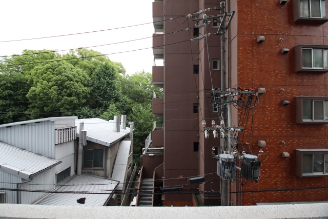 眺望　※別室の参考写真の為、現況優先です。