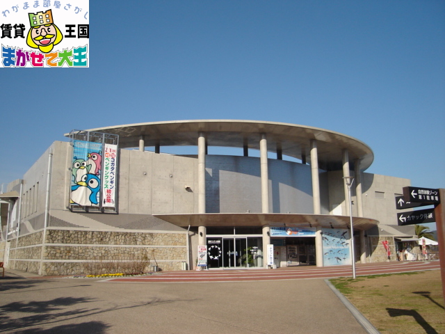 その他　長崎ペンギン水族館（その他）まで2800m