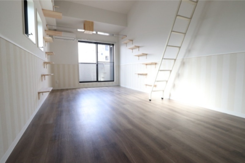 居室・リビング　猫が喜びそうな空間