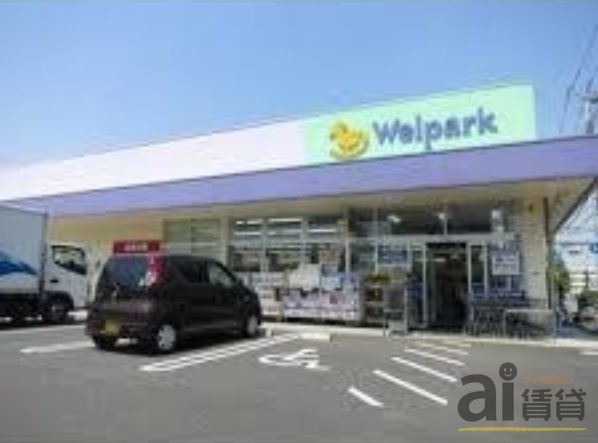 ドラックストア　ウェルパーク西東京新町店（ドラッグストア）まで410m