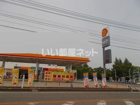 その他　南砺石油株式会社 昭和シェル（その他）まで1289m