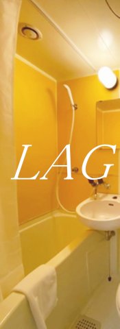 バス・シャワールーム　お風呂です。(家具・家電付きではございません。)