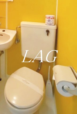 トイレ　トイレです。(家具・家電付きではございません。)