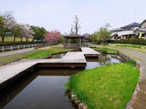 公園　水辺公園（公園）まで462m