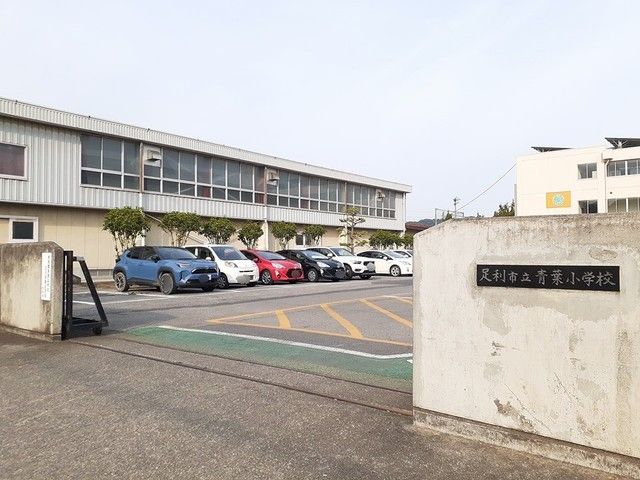 小学校　足利市立青葉小学校（小学校）まで1354m