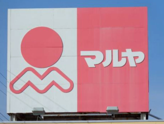 スーパー　マルヤ野田山崎店（スーパー）まで485m