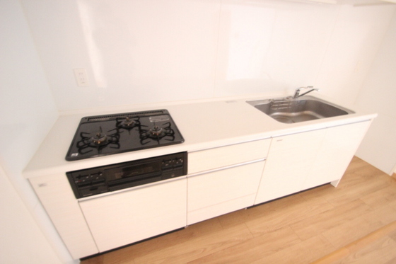 キッチン　※別号室の写真です。