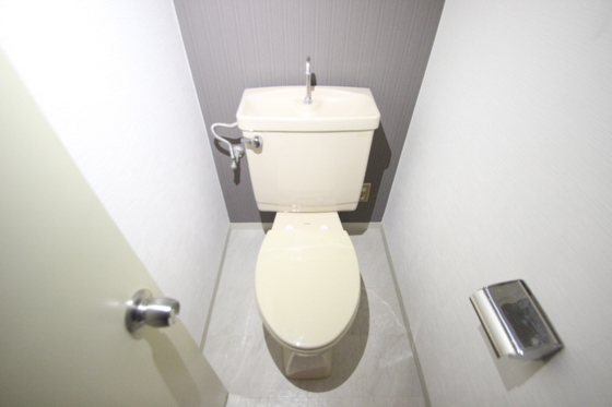 トイレ　※別号室の写真です。