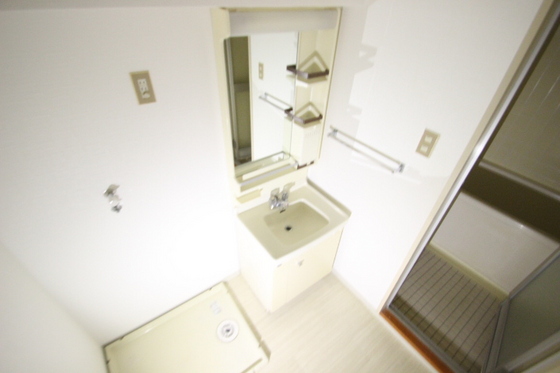 洗面設備　※別号室の写真です。