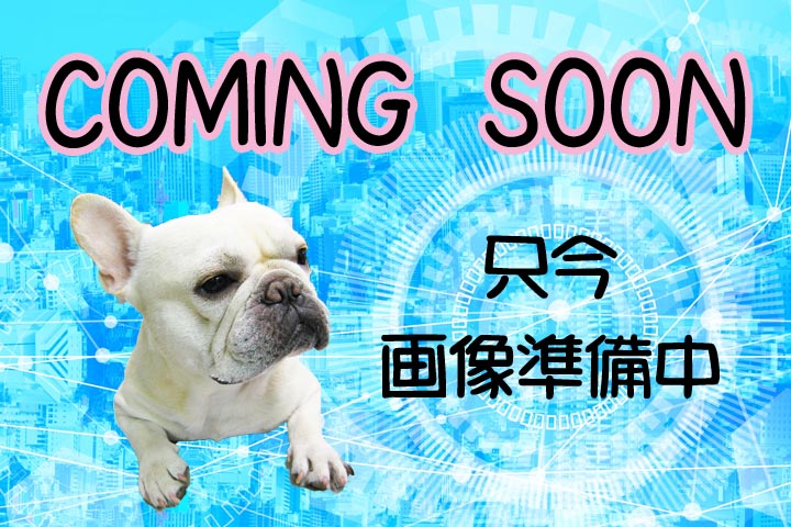 病院　坂田犬猫病院（病院）まで361m