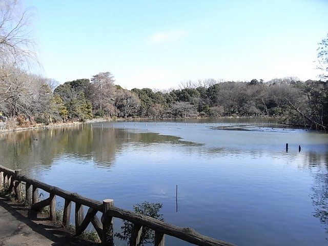公園　善福寺公園（公園）まで580m