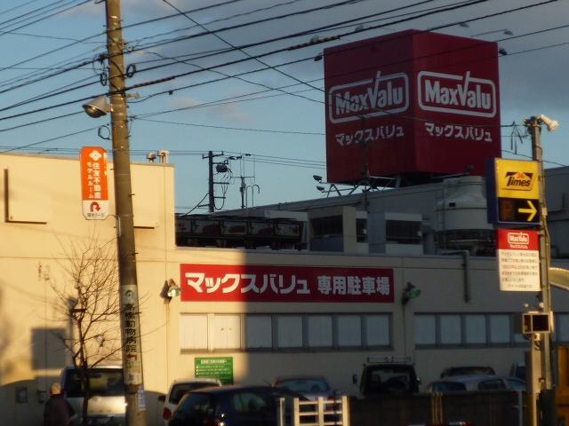 スーパー　マックスバリュ菊水店（スーパー）まで907m