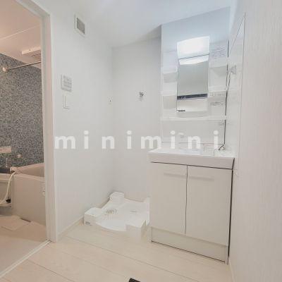 洗面設備　※写真は別号室のものですので現状優先とさせていただきます