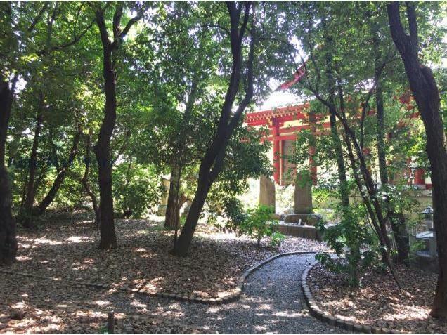 公園　第8号陣取山緑地（公園）まで1095m