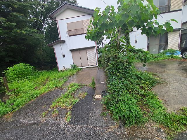 庭