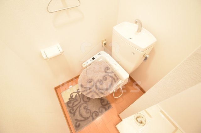 トイレ　トイレも気になるポイント