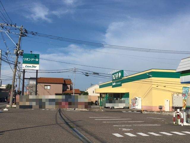 スーパー　リオンドール（スーパー）まで267m