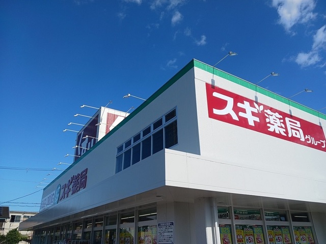 その他　スギドラッグ様まで550m