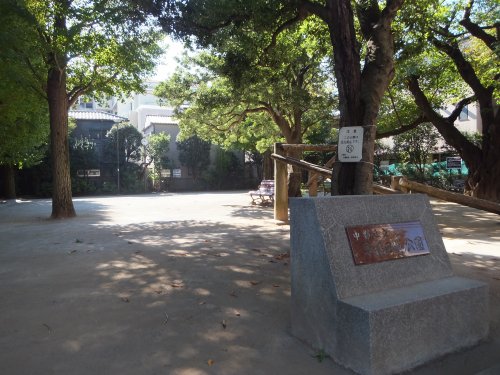 公園　早稲田通り公園（公園）まで492m